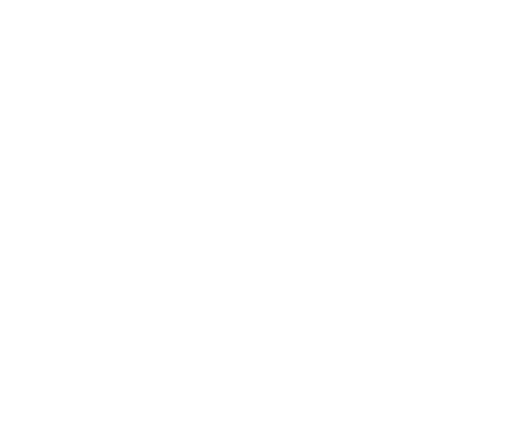 Agencia Dynamis